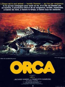 A gyilkos bálna letöltés  (Orca)