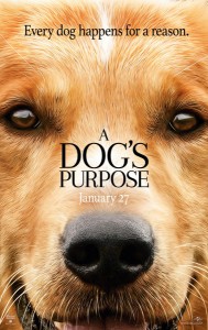 Egy kutya négy élete LETÖLTÉS INGYEN (A Dog's Purpose)
